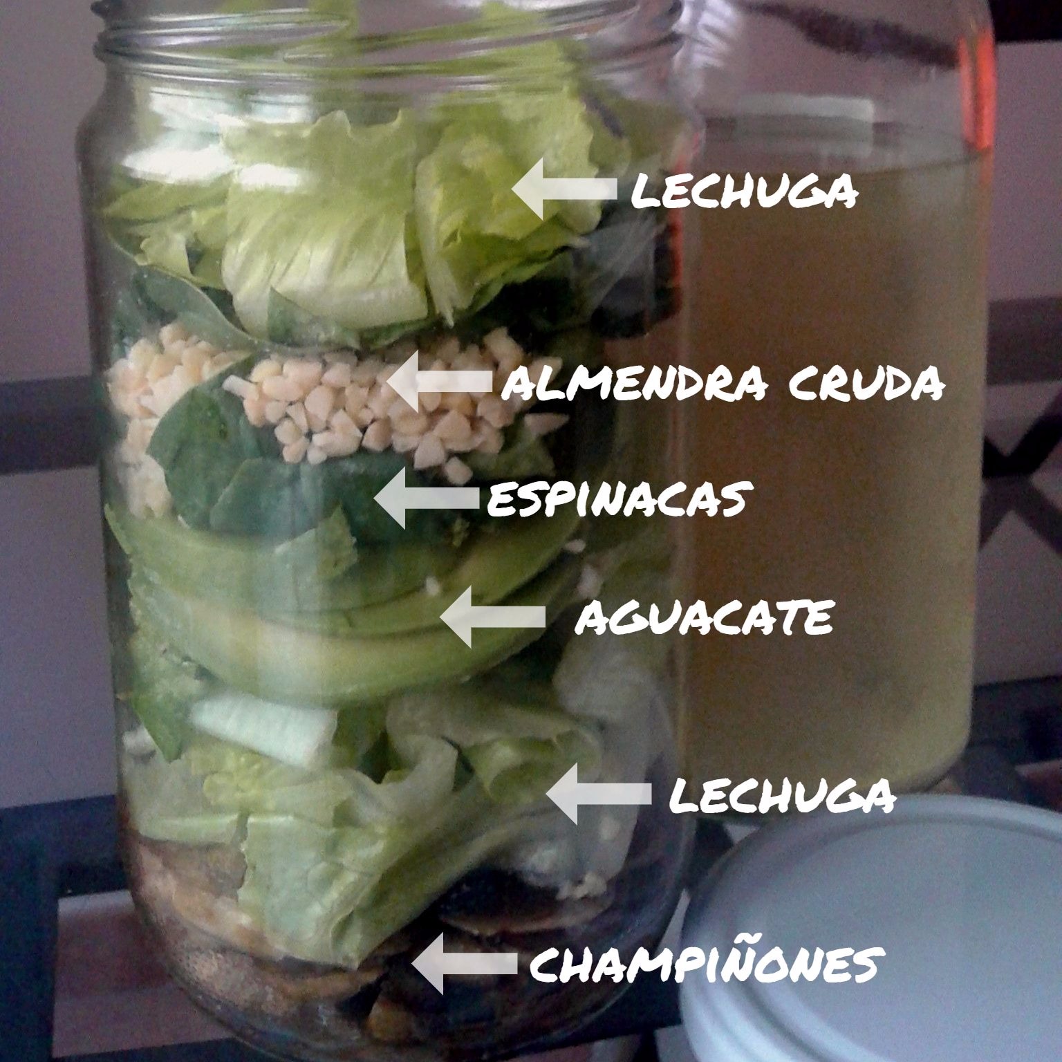 ensalada pic nic contenido