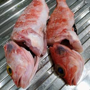 WhatsApp Image 2018-12-21 at 20.54.28